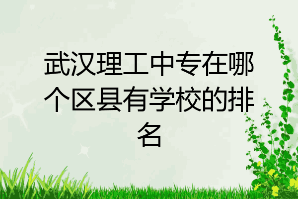 武汉理工中专在哪个区县有学校的排名