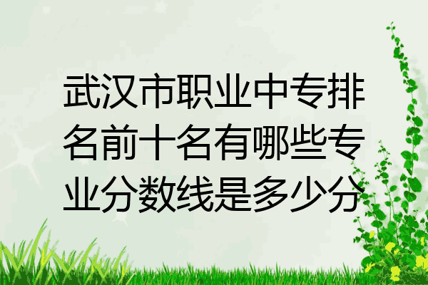 武汉市职业中专排名前十名有哪些专业分数线是多少分