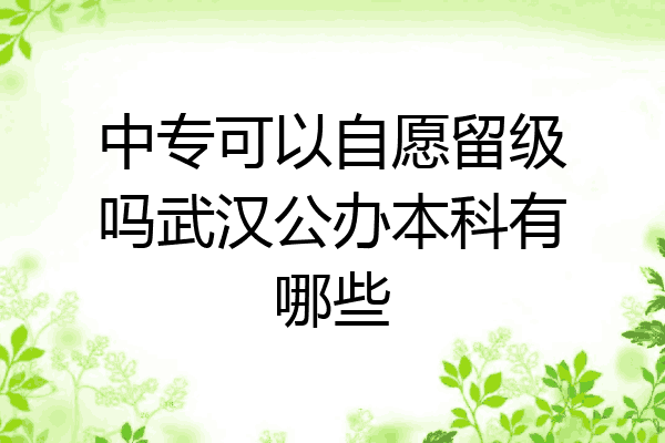 中专可以自愿留级吗武汉公办本科有哪些