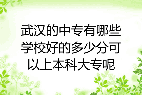 武汉的中专有哪些学校好的多少分可以上本科大专呢