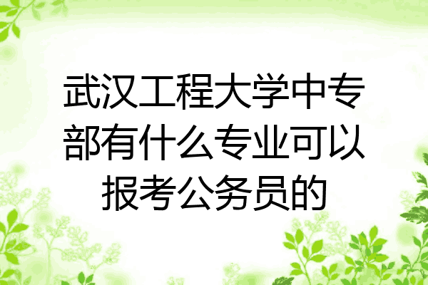 武汉工程大学中专部有什么专业可以报考公务员的
