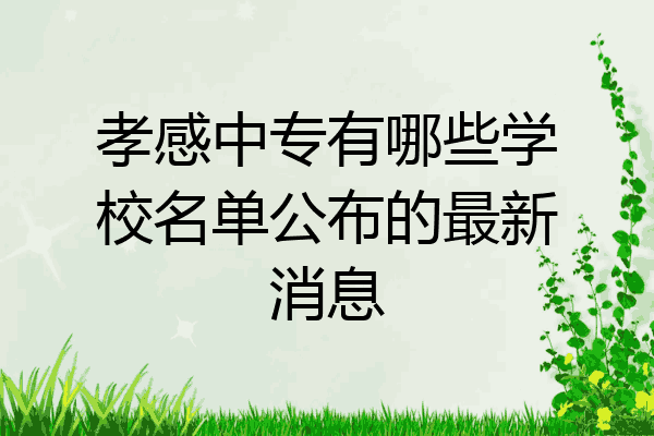 孝感中专有哪些学校名单公布的最新消息
