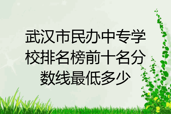 武汉市民办中专学校排名榜前十名分数线最低多少