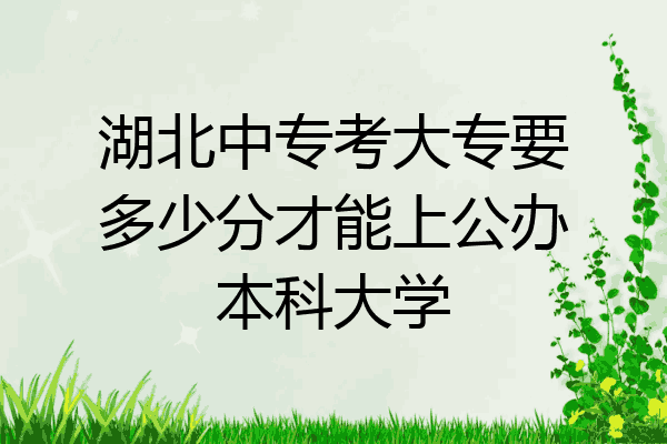 湖北中专考大专要多少分才能上公办本科大学