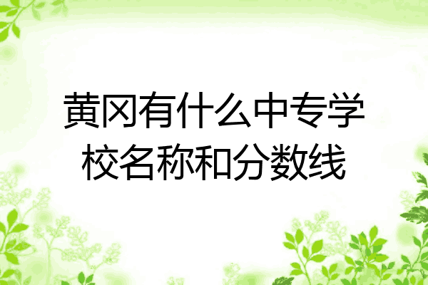 黄冈有什么中专学校名称和分数线