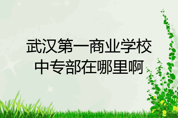 武汉第一商业学校中专部在哪里啊