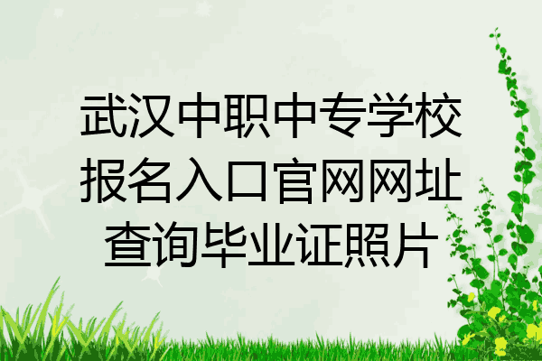 武汉中职中专学校报名入口官网网址查询毕业证照片