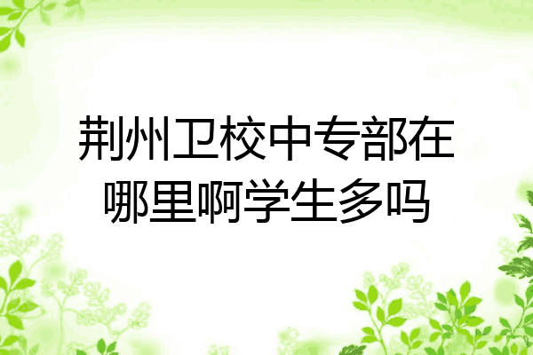 荆州卫校中专部在哪里啊学生多吗