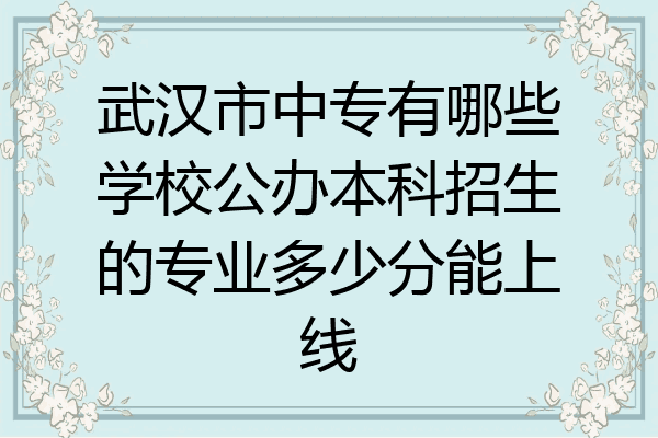 武汉市中专有哪些学校公办本科招生的专业多少分能上线