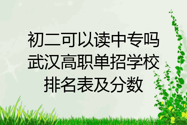 初二可以读中专吗武汉高职单招学校排名表及分数