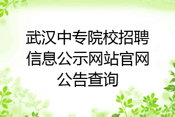 武汉中专院校招聘信息公示网站官网公告查询