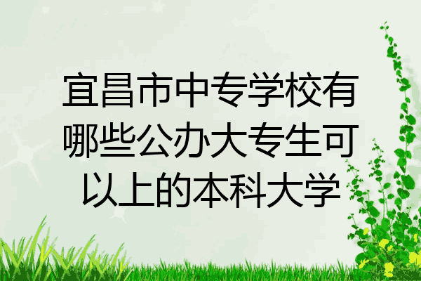 宜昌市中专学校有哪些公办大专生可以上的本科大学