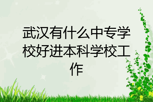 武汉有什么中专学校好进本科学校工作