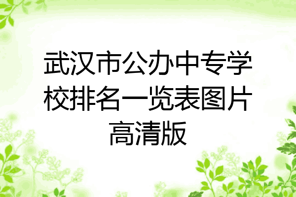 武汉市公办中专学校排名一览表图片高清版