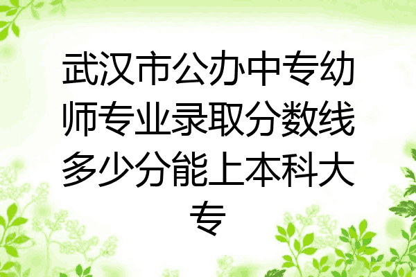 武汉市公办中专幼师专业录取分数线多少分能上本科大专