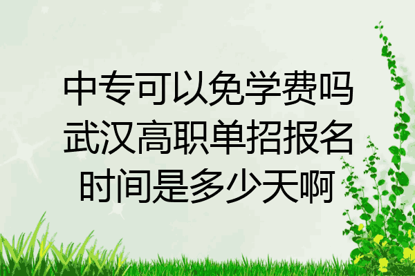 中专可以免学费吗武汉高职单招报名时间是多少天啊