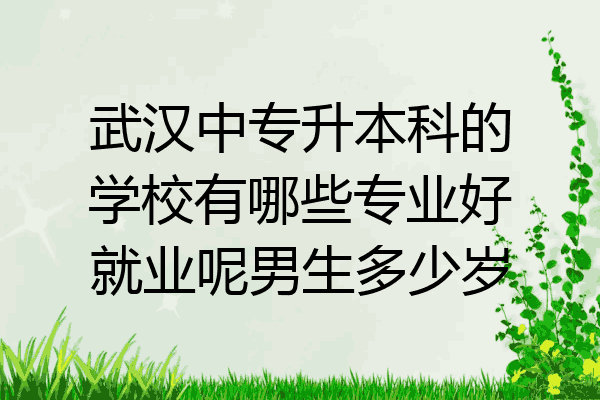 武汉中专升本科的学校有哪些专业好就业呢男生多少岁