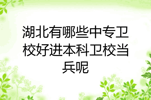 湖北有哪些中专卫校好进本科卫校当兵呢