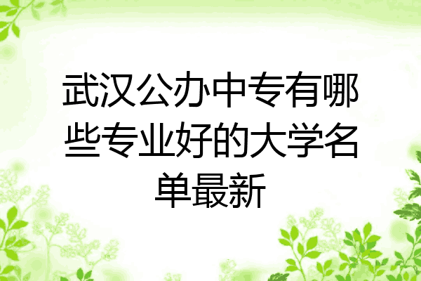 武汉公办中专有哪些专业好的大学名单最新