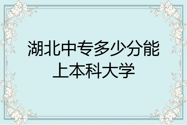 湖北中专多少分能上本科大学