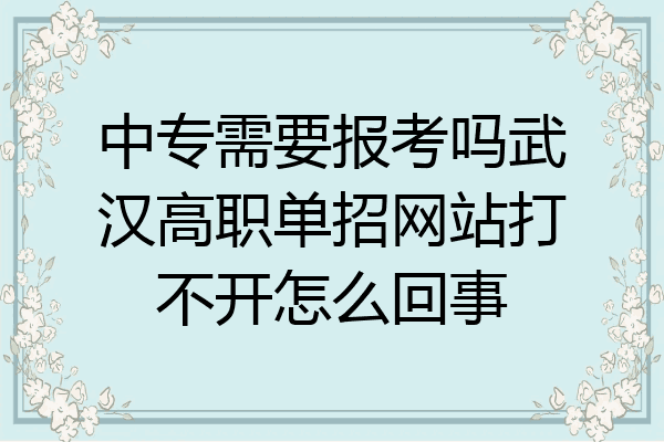 中专需要报考吗武汉高职单招网站打不开怎么回事