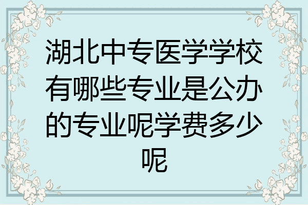 湖北中专医学学校有哪些专业是公办的专业呢学费多少呢