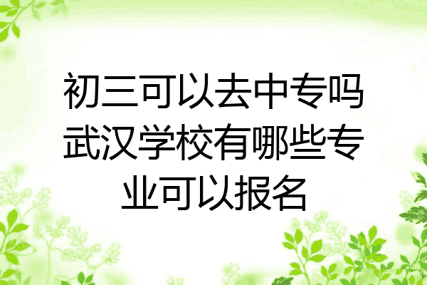 初三可以去中专吗武汉学校有哪些专业可以报名