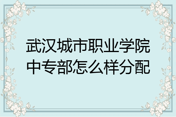 武汉城市职业学院中专部怎么样分配