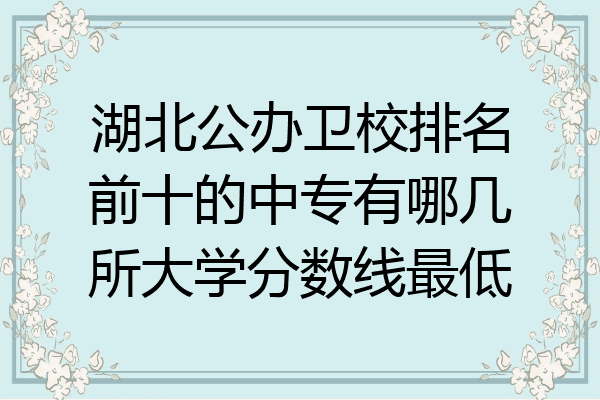 湖北公办卫校排名前十的中专有哪几所大学分数线最低