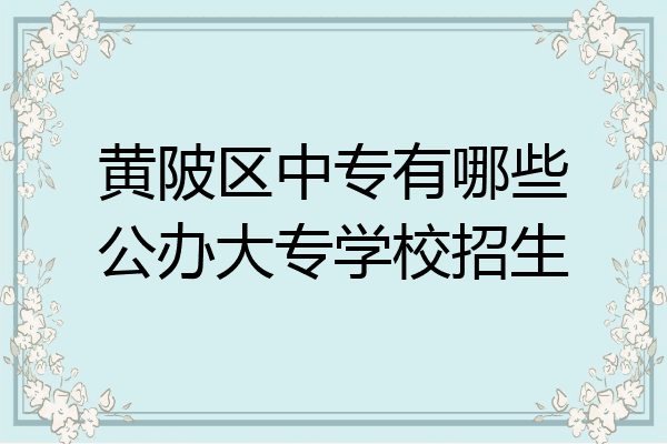 黄陂区中专有哪些公办大专学校招生