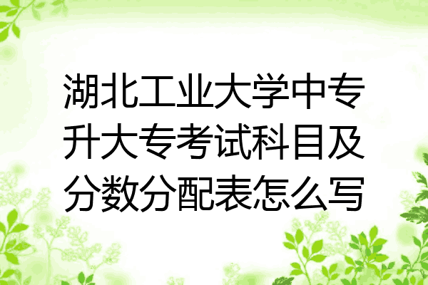 湖北工业大学中专升大专考试科目及分数分配表怎么写