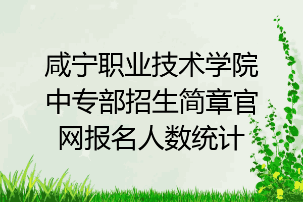 咸宁职业技术学院中专部招生简章官网报名人数统计