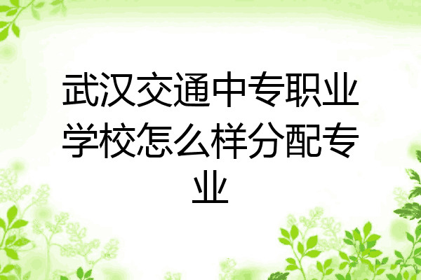武汉交通中专职业学校怎么样分配专业