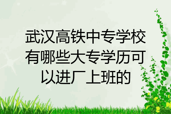 武汉高铁中专学校有哪些大专学历可以进厂上班的