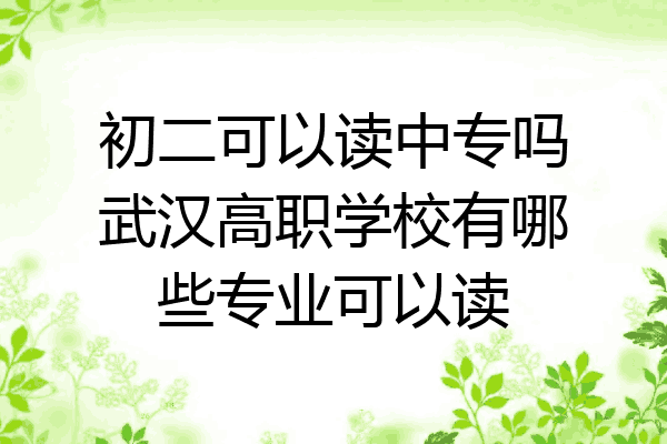 初二可以读中专吗武汉高职学校有哪些专业可以读