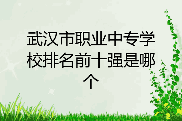 武汉市职业中专学校排名前十强是哪个