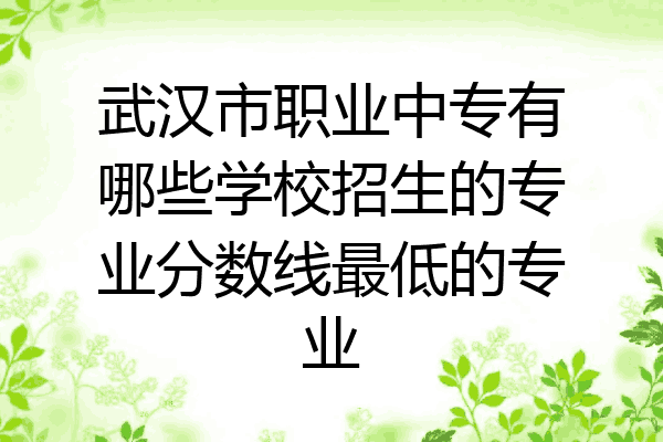武汉市职业中专有哪些学校招生的专业分数线最低的专业