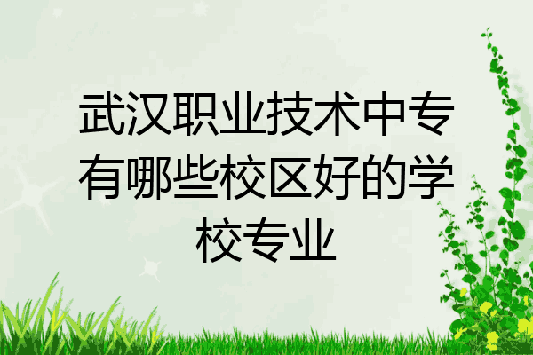 武汉职业技术中专有哪些校区好的学校专业