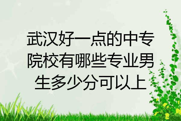 武汉好一点的中专院校有哪些专业男生多少分可以上