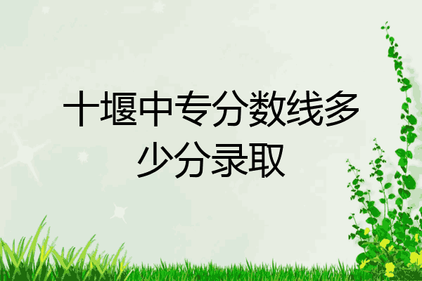 十堰中专分数线多少分录取