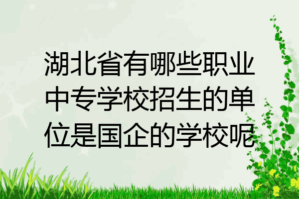 湖北省有哪些职业中专学校招生的单位是国企的学校呢