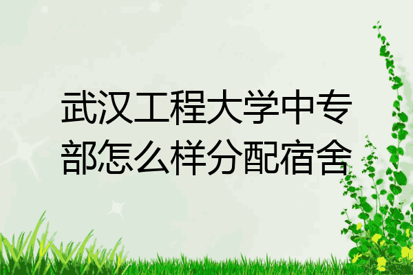 武汉工程大学中专部怎么样分配宿舍