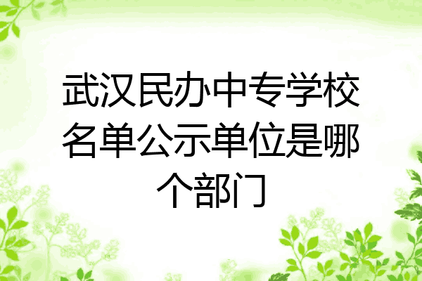武汉民办中专学校名单公示单位是哪个部门