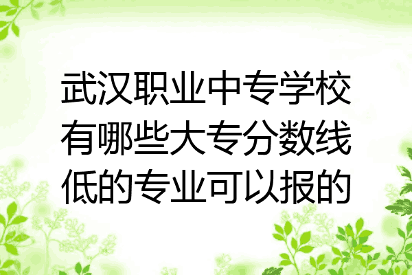 武汉职业中专学校有哪些大专分数线低的专业可以报的