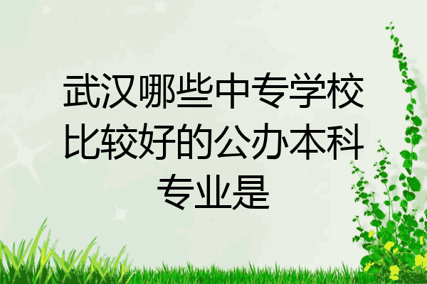武汉哪些中专学校比较好的公办本科专业是