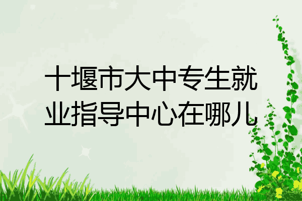 十堰市大中专生就业指导中心在哪儿