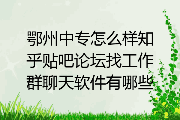 鄂州中专怎么样知乎贴吧论坛找工作群聊天软件有哪些