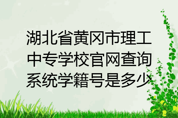 湖北省黄冈市理工中专学校官网查询系统学籍号是多少