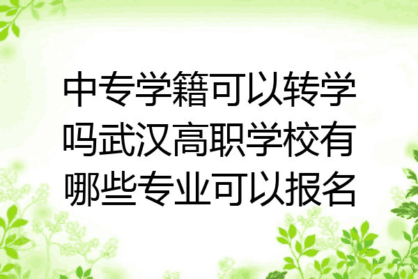 中专学籍可以转学吗武汉高职学校有哪些专业可以报名
