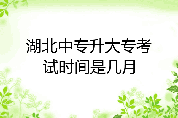 湖北中专升大专考试时间是几月